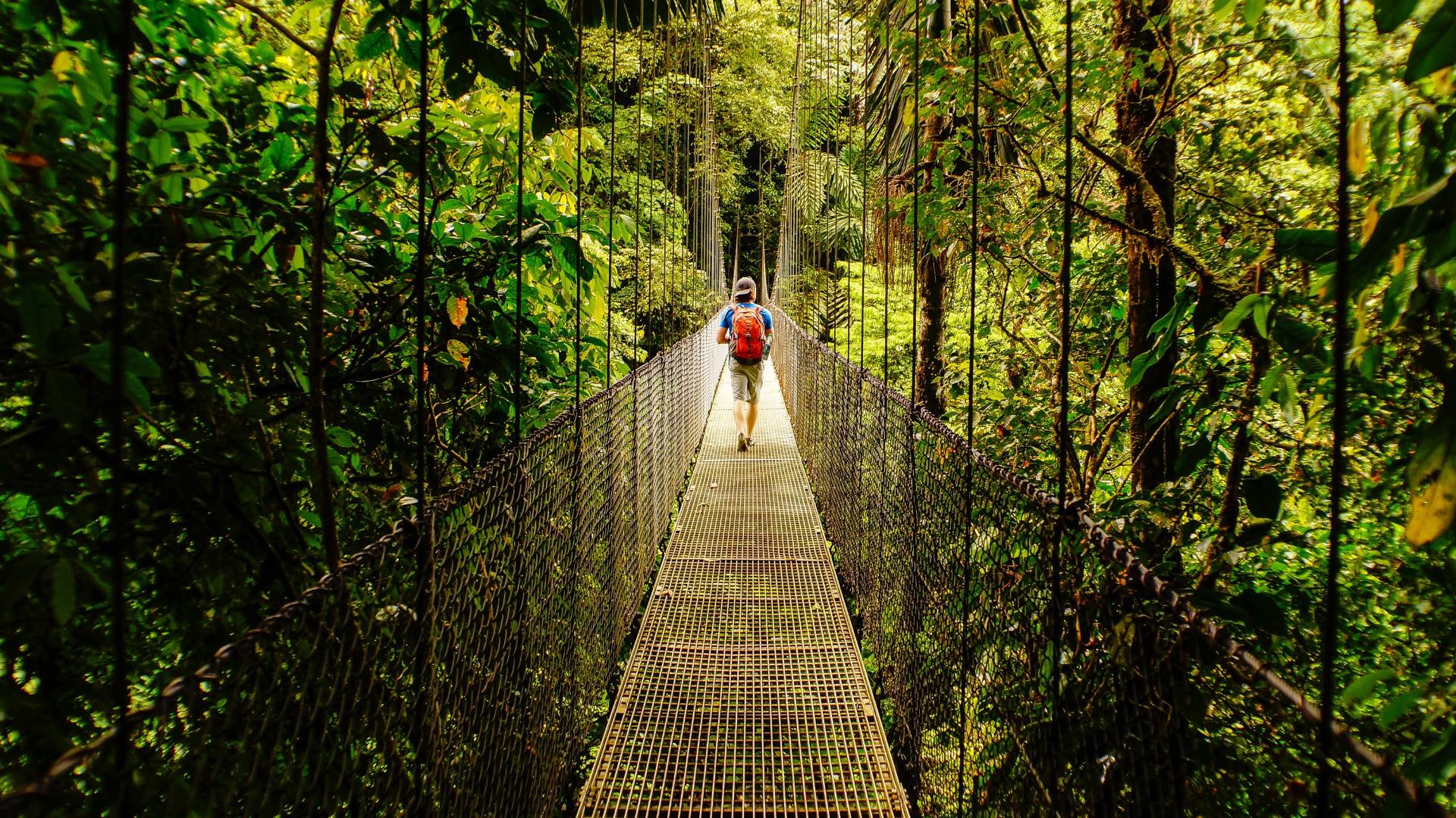 A curated journey through Costa Rica’s most iconic regions, blending rainforest, volcanoes, cloud forest, and coastline in a seamless and refined travel experience.