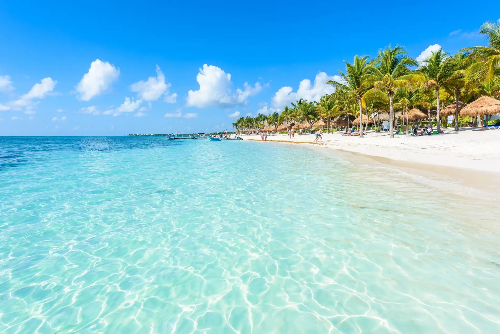 Discover Mexico in all its contrasts and beauty—where ancient pyramids, colonial cities, and tropical coastlines come together in one unforgettable journey.

Experience the energy of Mexico City, explore the mysteries of Teotihuacán, wander through colorful colonial towns, and end in the turquoise waters of the Caribbean.

A perfectly balanced adventure designed to inspire, immerse, and captivate.